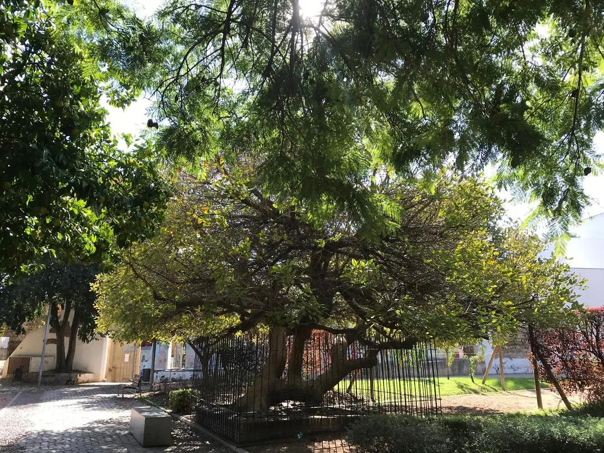 Apartamento Completo Regina Córdoba